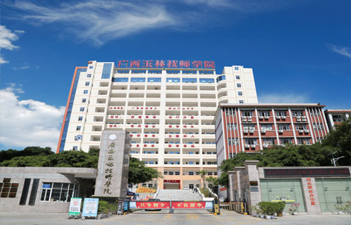 亚洲AV午夜成人片精品网站