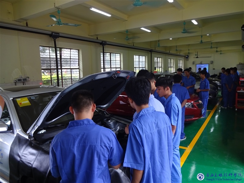 亚洲AV午夜成人片精品网站