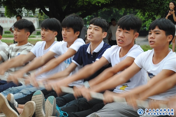 亚洲AV午夜成人片精品网站