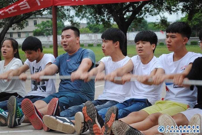 亚洲AV午夜成人片精品网站