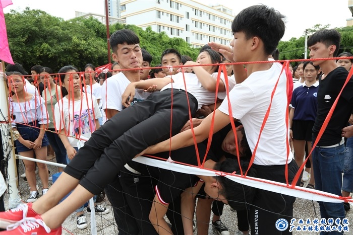 亚洲AV午夜成人片精品网站