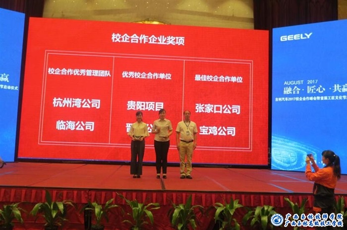 亚洲AV午夜成人片精品网站