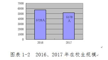 亚洲AV午夜成人片精品网站