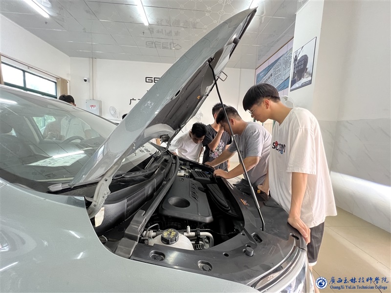 亚洲AV午夜成人片精品网站