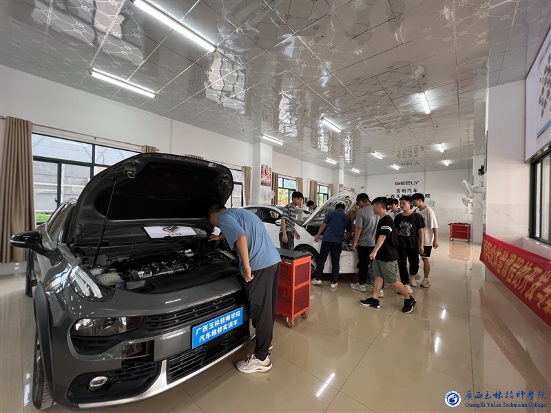 亚洲AV午夜成人片精品网站