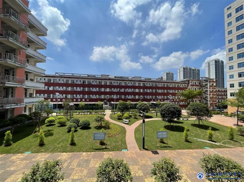 亚洲AV午夜成人片精品网站