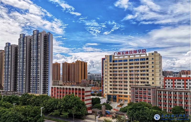 亚洲AV午夜成人片精品网站