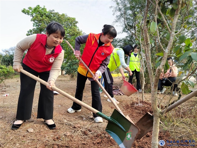 亚洲AV午夜成人片精品网站