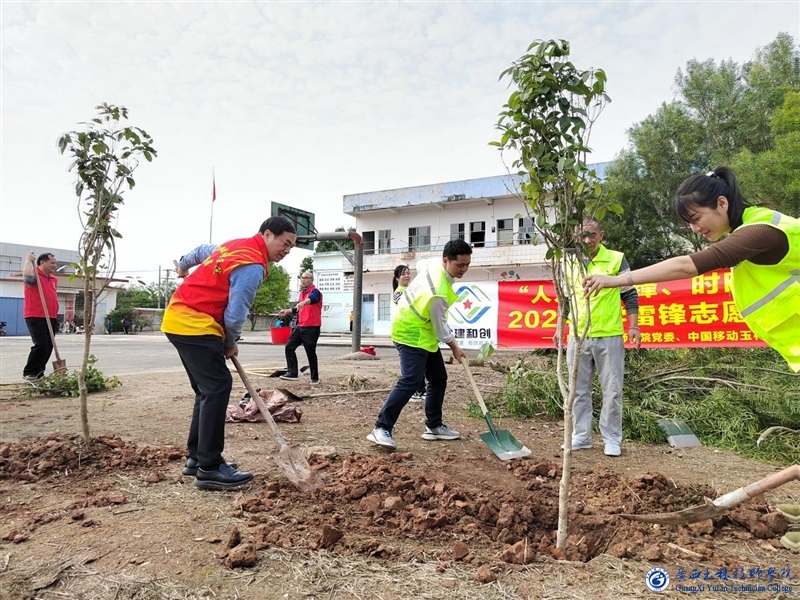 亚洲AV午夜成人片精品网站