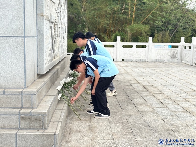 亚洲AV午夜成人片精品网站