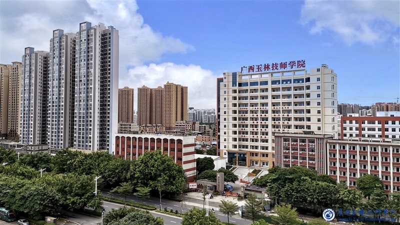 亚洲AV午夜成人片精品网站