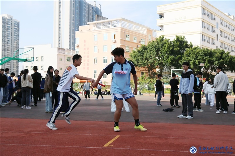 亚洲AV午夜成人片精品网站