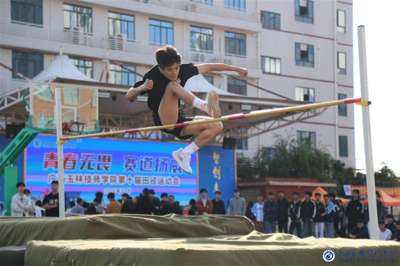 亚洲AV午夜成人片精品网站