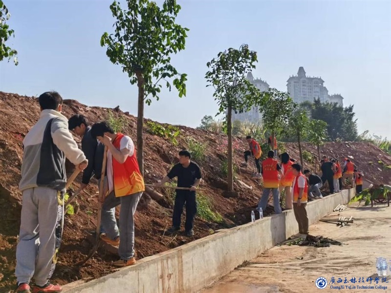 亚洲AV午夜成人片精品网站