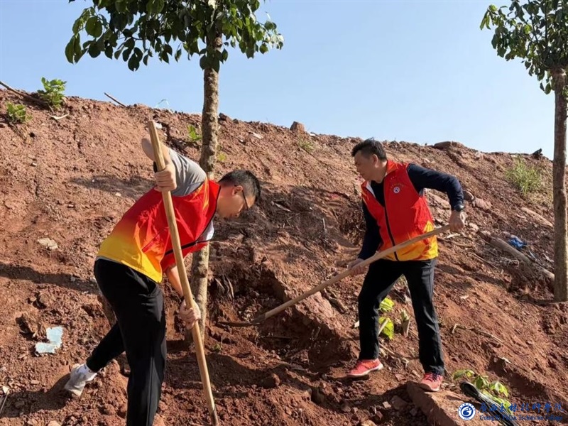 亚洲AV午夜成人片精品网站