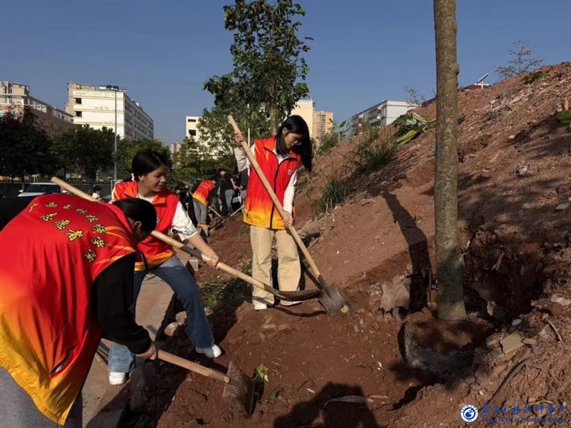 亚洲AV午夜成人片精品网站