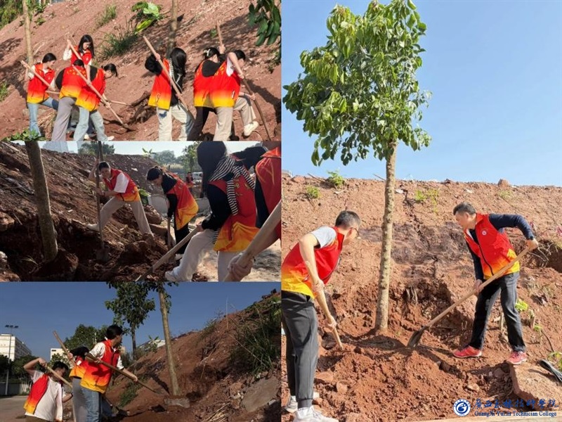 亚洲AV午夜成人片精品网站